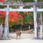 【全国旅行支援(全国旅行割)】家族旅行におすすめの奈良のホテル3選