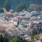 【全国旅行支援(全国旅行割)】奈良でおすすめの高級ホテル3選